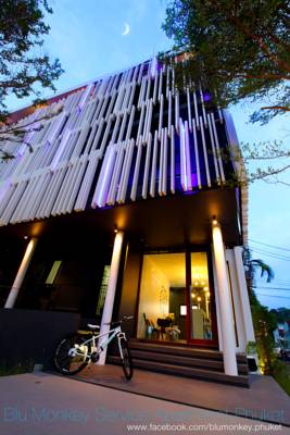 Blu Monkey Hostel Phuket Blu Monkey Hostel Phuket