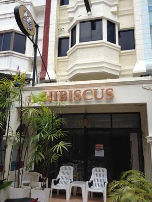Hibiscus Hibiscus