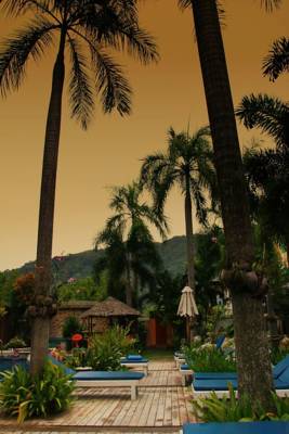 Honey Resort, Kata Beach Honey Resort, Kata Beach